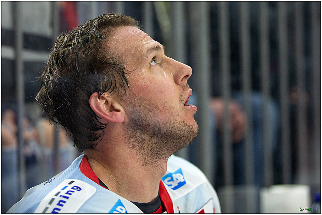 PENNY DEL; Koelner Haie-Adler Mannheim; Koeln, 17.03.2023